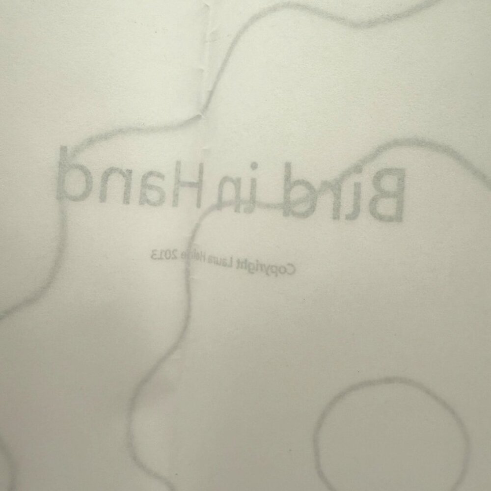 Fiberworks Bird in Hand Applique Quilt Pattern by Laura Heine 88 Inch Square New - Picture 6 of 6